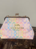 Purse comes with a chain strap(pre-order)