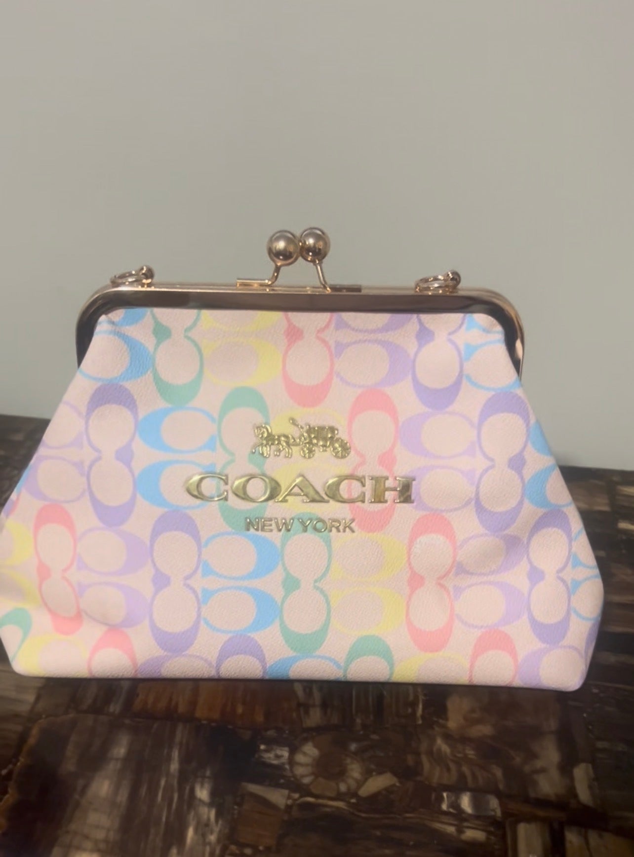 Purse comes with a chain strap(pre-order)
